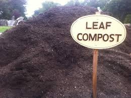 leaf compost picture